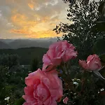 Estrela Do Geres - Casa Fernandes فندق مبيت وإفطار 4*