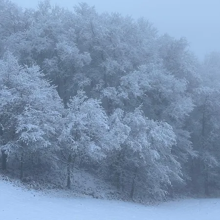 Estrela Do Geres - Casa Fernandes Outeiro (Tras-Os-Montes)
