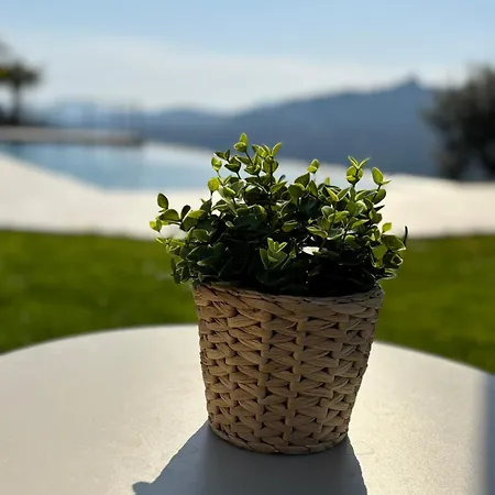 Oda ve Kahvaltı Estrela Do Geres - Casa Fernandes 4*