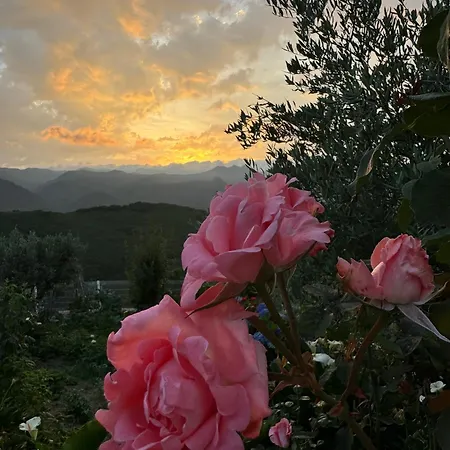 Estrela Do Geres - Casa Fernandes Oda ve Kahvaltı 4*