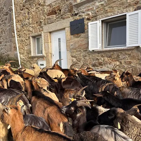Oda ve Kahvaltı Estrela Do Geres - Casa Fernandes