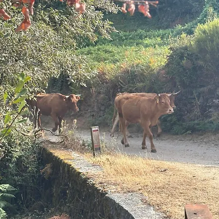 Estrela Do Geres - Casa Fernandes 4*