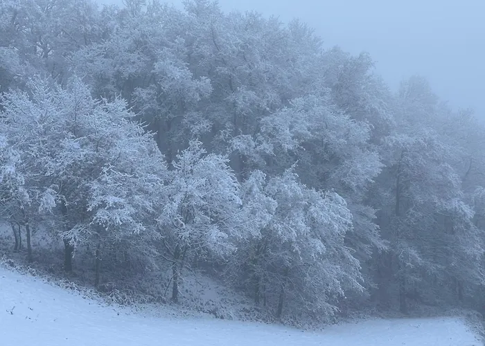Estrela Do Geres - Casa Fernandes Outeiro (Tras-Os-Montes)