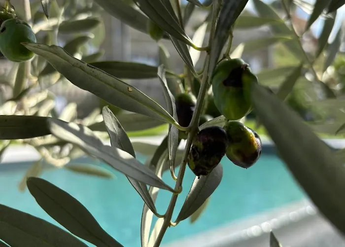 Estrela Do Geres - Casa Fernandes فندق مبيت وإفطار 4*