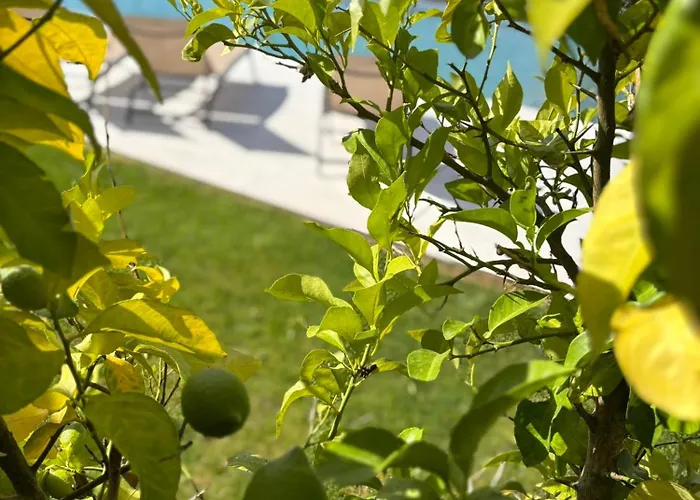 Estrela Do Gerês - Casa Fernandes Outeiro (Tras-Os-Montes)