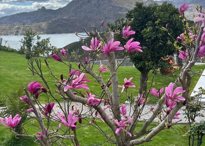 Estrela Do Geres - Casa Fernandes 4* Outeiro (Tras-Os-Montes)