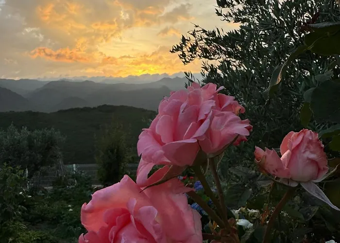 Estrela Do Gerês - Casa Fernandes Alojamento de Acomodação e Pequeno-almoço 4*