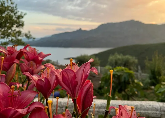 Estrela Do Gerês - Casa Fernandes Alojamento de Acomodação e Pequeno-almoço Outeiro (Tras-Os-Montes)