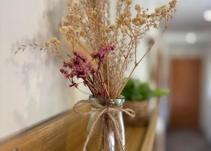 Estrela Do Gerês - Casa Fernandes Alojamento de Acomodação e Pequeno-almoço 4*