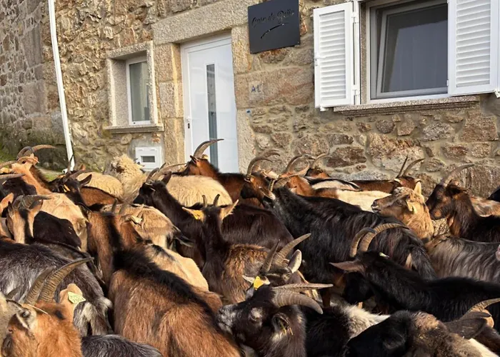 Alojamento de Acomodação e Pequeno-almoço Estrela Do Gerês - Casa Fernandes