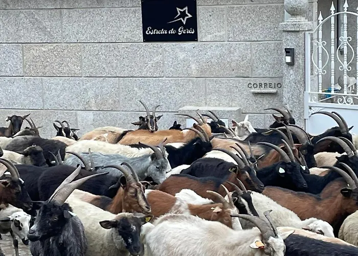 Estrela Do Geres - Casa Fernandes