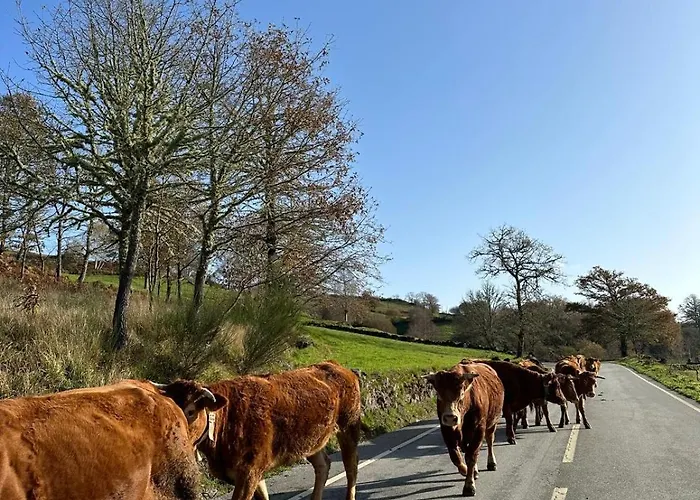 Estrela Do Gerês - Casa Fernandes
